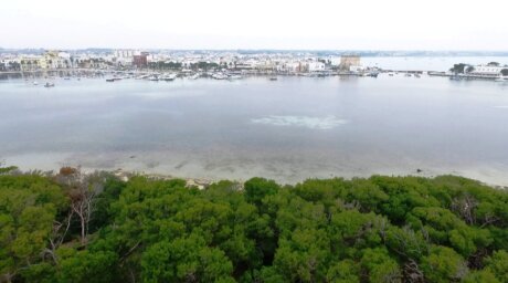 Porto Cesareo