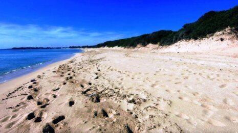 Porto Cesareo